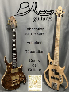 Photo de galerie - Luthier guitare , prof de guitare 