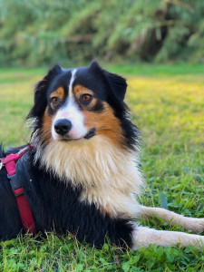 Photo de galerie - Vacancière Heureuse ! 