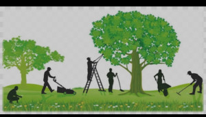 Photo de galerie - Tout service de jardinage