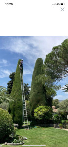 Photo de galerie - Taille de haies et d'arbustes