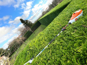 Photo de galerie - Taille