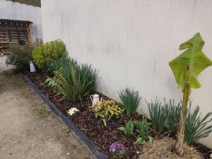 Photo de galerie - Création massif