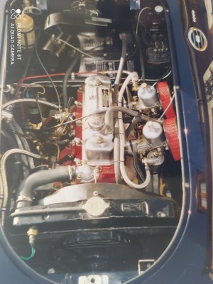 Photo de galerie - MGA 1600 de 1960
Réfection complète de la mécanique