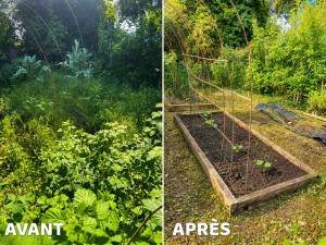 Photo de galerie - Création d'un potager , après débroussailleuse d'une parcelle de 100m2 .création d'une structure rigide pour accueillir les légumes grimpants .