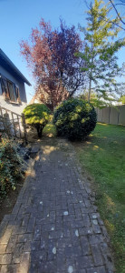 Photo de galerie - Taille  arbustes