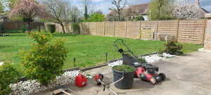 Photo de galerie - Tonte de pelouse - Débroussaillage
