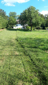 Photo de galerie - Tonte chez un particulier de 2000m2 en 1h45 avec ma tondeuse autotracter. un vrai régale 