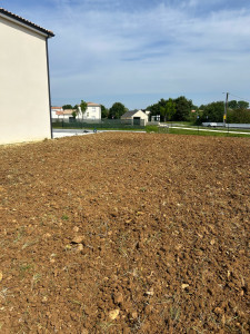 Photo de galerie - Paysagiste - Aménagement du jardin