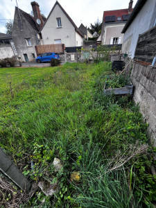 Photo de galerie - Tonte de pelouse - Débroussaillage