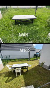 Photo de galerie - Un bon coup de propre pour ce petit jardin ?