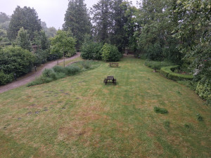 Photo de galerie - Tonte 