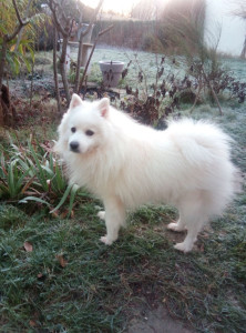 Photo de galerie - Happy birthday 11 ans