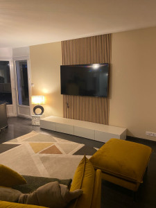 Photo de galerie - Peinture et décoration murale du salon