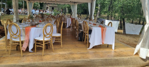 Photo de galerie - Wedding planner - Organisation de fêtes