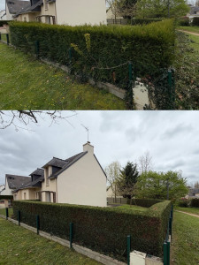 Photo de galerie - Remise en état 