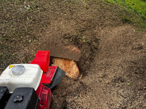 Photo de galerie - Dessoucheuse / Rogneuse