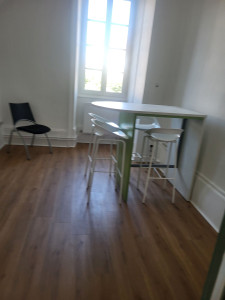 Photo de galerie - Lame lvt...