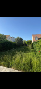 Photo de galerie - Tonte de pelouse - Débroussaillage