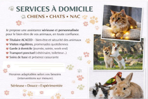Photo de galerie - Garde d'animaux : informations