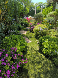 Photo de galerie - Entretien de jardin st Tropez 
