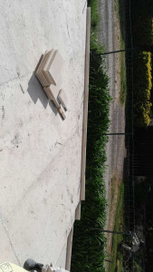 Photo de galerie - Pose de bordure 