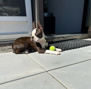 Photo de galerie - Urus ❤️