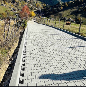 Photo de galerie - Nous avons coulé des dalles de béton dans la cour.