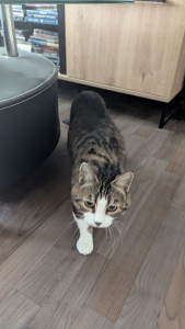 Photo de galerie - Garde de Gribouille pendant 5 jours !