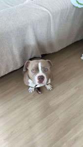 Photo de galerie - Petite après-midi où j’ai gardé ce loulou