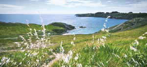 Photo de galerie - Plage Belle-île en mer
