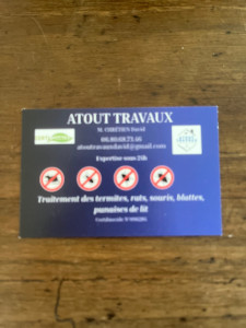 Photo de galerie - Souris rats blatte punaise de lit pigeon 