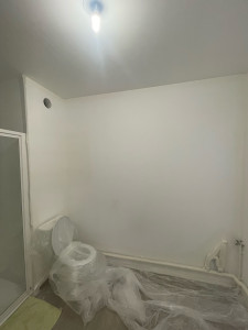 Photo de galerie - Prestation chez une personne, le mur était troué car il y avait des étagères, remise du mur en conformité avant l’état des lieux 