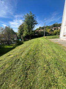 Photo de galerie - Tonte 