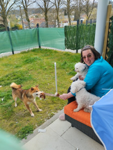 Photo de galerie - Chien garder le mois de mars 