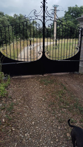 Photo de galerie - Peinture - Tapisserie