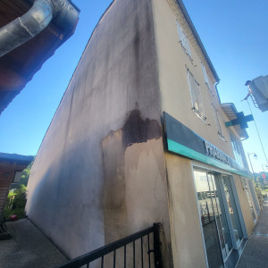 Photo de galerie - Peinture - Tapisserie