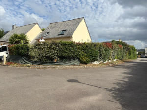 Photo de galerie - Taille de haies et d'arbustes