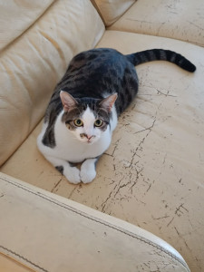 Photo de galerie - La timide Fifty, la plus rapide pour aller manger !! ?