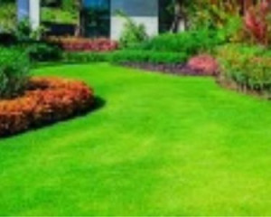 Photo de galerie - Jardinier