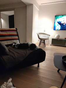 Photo de galerie - Chez lui dans son environnement c'est là qu'il est le mieux. Serein et détendu. 