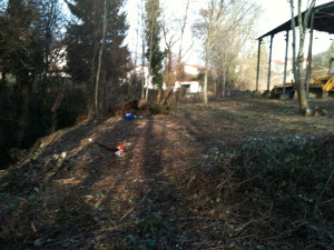 Photo de galerie - Débroussaillage 