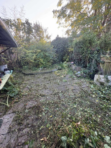 Photo de galerie - Journée nettoyage : Débroussaillage / Taille / Enlèvement d'un Arbre. ( Avant )