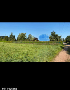 Photo de galerie - Taille de haies et d'arbustes