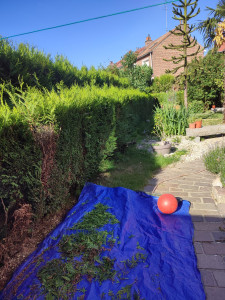 Photo de galerie - Avant