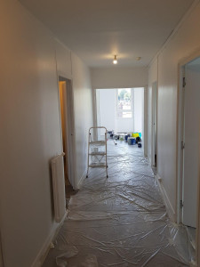 Photo de galerie - Enduit et peinture 