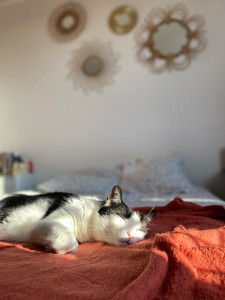 Photo de galerie - Boulbi qui dort 