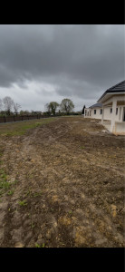 Photo de galerie - Paysagiste - Aménagement du jardin