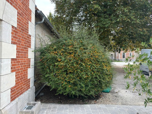 Photo de galerie - Avant