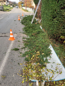 Photo de galerie - Taille de haies et d'arbustes