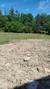 Photo de galerie - Tonte de pelouse - Débroussaillage